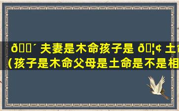 🐴 夫妻是木命孩子是 🦢 土命（孩子是木命父母是土命是不是相克）